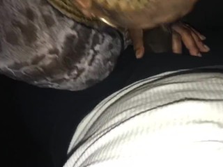 FINALLY !!! His mom sucked my dick