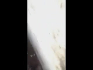 construction workers caught