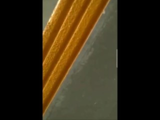 港女暴动后楼梯间做爱