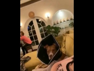 BILLIE EILISH SMACKS OWN TITS!