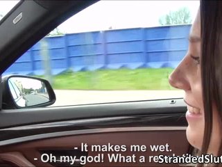 Foxy gets a ride on strangers nice car