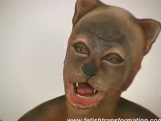 Beauty pussycat transformation