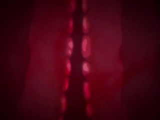Sukebe 4