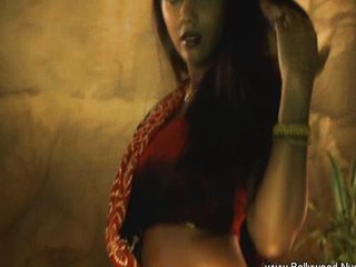 Bollywood beauty from India