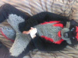 Alpha Wolf Jerks Off For Breeding Season