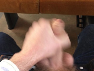 Public Train Wank 11