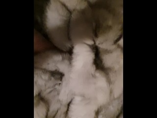 18yo teen fucked in fox furcoat