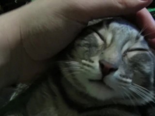 Petting My Sweet Little Pussy