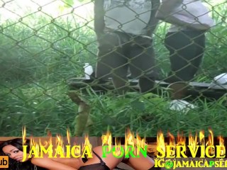 The Wild College Lifestyle. Jamaican Teen Caught Having Sex At Hope Garden Park In Papine